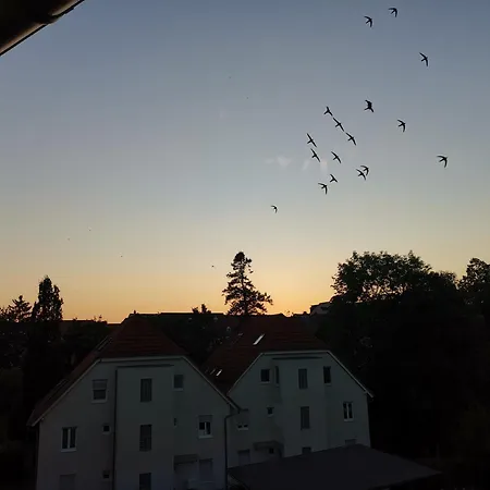 Vielstubenhaus - Marie *