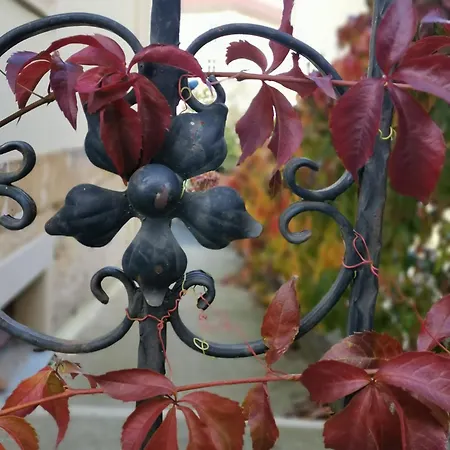 Vielstubenhaus - Marie Apartment